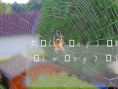欠網(wǎng)貸跑路的人都怎么樣了(欠網(wǎng)貸信用卡跑路的人都怎么樣了)