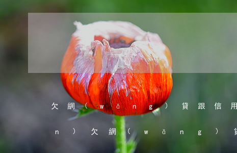 欠網(wǎng)貸跟信用卡10萬(wàn)(欠網(wǎng)貸和信用卡10萬(wàn)怎樣翻身)