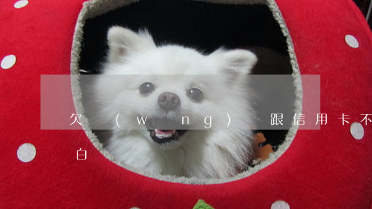 欠網(wǎng)貸跟信用卡不敢跟家人坦白