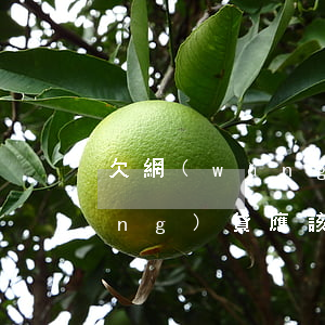 欠網(wǎng)貸跟公司坦白(欠網(wǎng)貸應該跟家里坦白嗎)