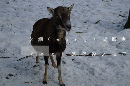 欠網(wǎng)貸跟家人坦白了(欠網(wǎng)貸跟家人坦白了,但是沒敢全說)