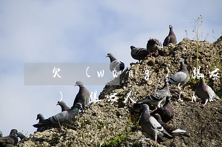 欠網(wǎng)貸跟家人(欠網(wǎng)貸跟家人說會(huì)怎樣)