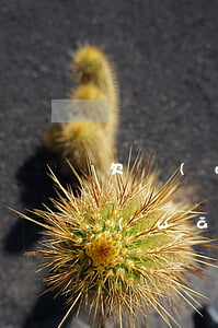 欠網(wǎng)貸跟家里坦白三次了(欠網(wǎng)貸和父母坦白4次了)