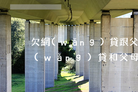 欠網(wǎng)貸跟父母如何坦白(欠了網(wǎng)貸和父母坦白)