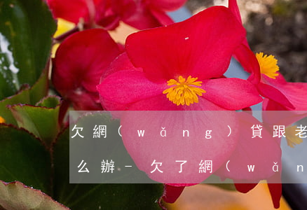 欠網(wǎng)貸跟老公坦白后不理我怎么辦-欠了網(wǎng)貸和老公坦白他要離婚