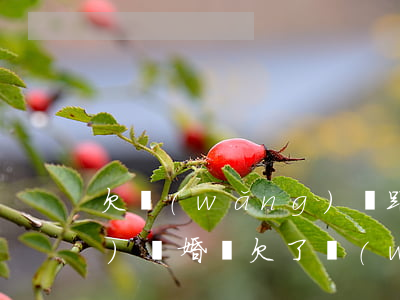欠網(wǎng)貸跟老婆說了會(huì)離婚嗎(欠了網(wǎng)貸老婆要離婚該怎么辦)