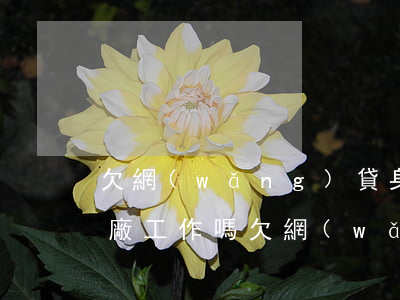 欠網(wǎng)貸身份證能進(jìn)廠工作嗎(欠網(wǎng)貸身份證能進(jìn)廠工作嗎)