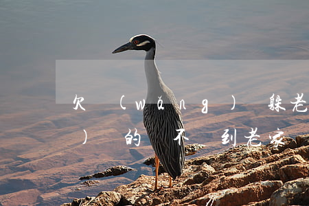 欠網(wǎng)貸躲老家(欠網(wǎng)貸的會不會到老家來)