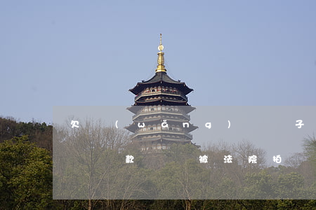 欠網(wǎng)貸車子房子都要被拍賣(欠錢貸款車會被法院拍賣嗎)