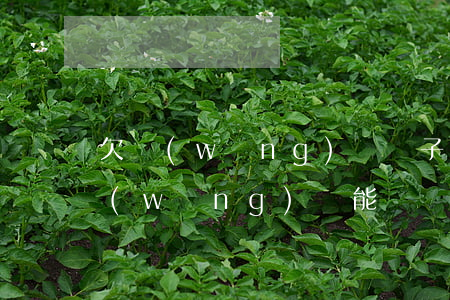 欠網(wǎng)貸車子過戶給老婆(欠了網(wǎng)貸能過戶車子嗎)