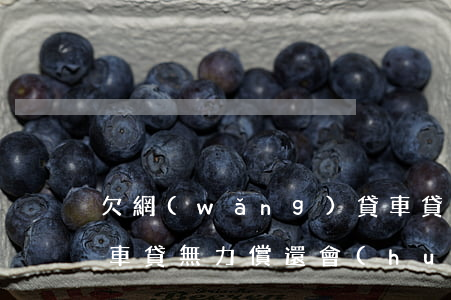 欠網(wǎng)貸車貸無力償還怎么處理(車貸無力償還會(huì)怎樣)
