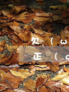 欠網(wǎng)貸軟件的錢不還會怎樣(欠正規(guī)網(wǎng)貸平臺沒錢還怎么辦)
