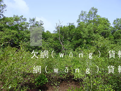 欠網(wǎng)貸軟件錢還不了怎么辦(欠網(wǎng)貸軟件錢還不了怎么辦)