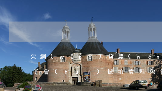 欠網(wǎng)貸農(nóng)村的房子會(huì)被拍賣嗎(欠銀行的錢,農(nóng)村的房子會(huì)不會(huì)被拍賣)