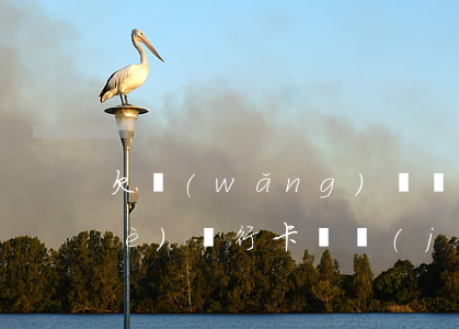 欠網(wǎng)貸農(nóng)業(yè)銀行卡凍結(jié)了怎么辦-欠網(wǎng)貸農(nóng)業(yè)銀行卡凍結(jié)了怎么辦呢