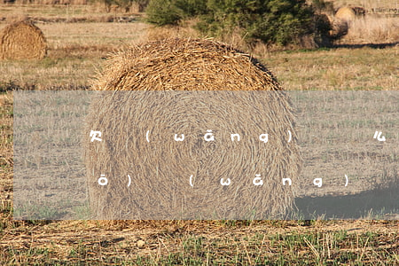 欠網(wǎng)貸這么跟家里說(shuō)(網(wǎng)貸越欠越多不敢跟家人說(shuō))