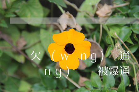 欠網(wǎng)貸通訊錄被爆了(欠網(wǎng)貸錢被爆通訊錄怎么辦)
