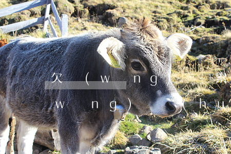欠網(wǎng)貸連累妻子小孩嗎(欠網(wǎng)貸會(huì)連累子女嗎)