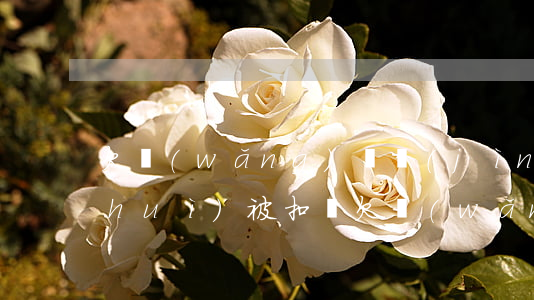 欠網(wǎng)貸進(jìn)大廠會(huì)被扣嗎(欠網(wǎng)貸去廠里上班會(huì)被找到嗎)