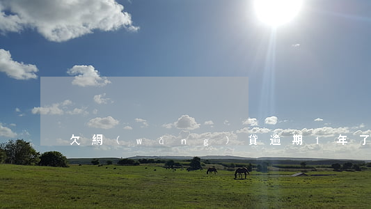 欠網(wǎng)貸逾期1年了