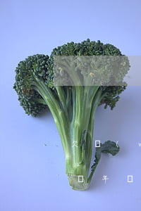 欠網(wǎng)貸逾期3萬(wàn)判幾年(網(wǎng)貸欠款超過(guò)三年)
