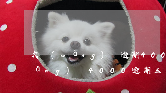 欠網(wǎng)貸逾期4000天(網(wǎng)貸4000逾期三年要還9000)