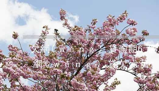 欠網(wǎng)貸逾期6個(gè)月了(網(wǎng)貸欠六萬(wàn)逾期兩年的有嗎?)