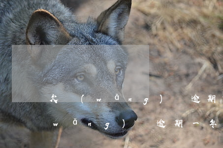 欠網(wǎng)貸逾期750多天(欠網(wǎng)貸逾期一年怎么辦)