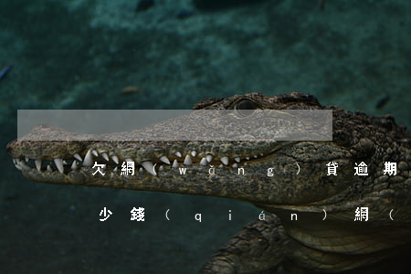 欠網(wǎng)貸逾期一個(gè)月多少錢(qián)(網(wǎng)貸逾期費(fèi)用)