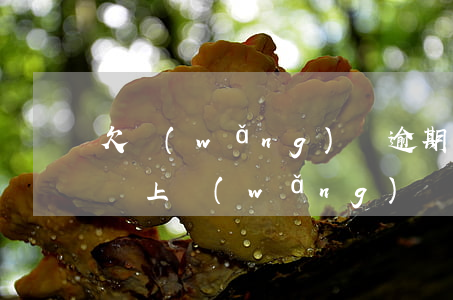 欠網(wǎng)貸逾期一天內(nèi)還上(網(wǎng)貸逾期但是每月還)