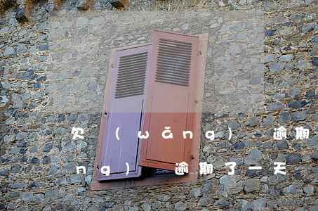 欠網(wǎng)貸逾期一天后果(網(wǎng)貸逾期了一天會怎么樣)