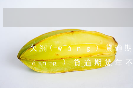 欠網(wǎng)貸逾期一年怎么辦(網(wǎng)貸逾期幾年不還怎樣)