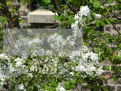欠網(wǎng)貸逾期上門催收(網(wǎng)貸逾期了上門催收怎么辦)