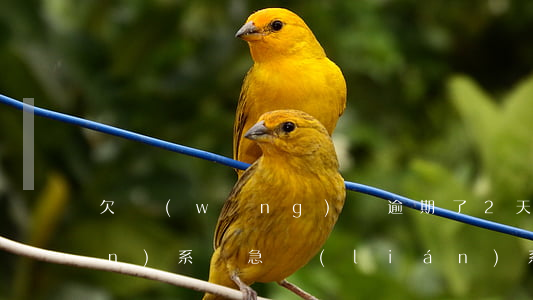 欠網(wǎng)貸逾期了2天聯(lián)系緊急聯(lián)系人(網(wǎng)貸已還清突然接到逾期電話)