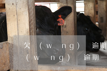 欠網(wǎng)貸逾期了全村都知道(欠網(wǎng)貸逾期一年怎么辦)