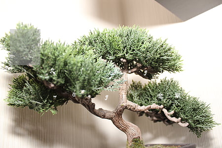 欠網(wǎng)貸逾期了可以工作嗎(網(wǎng)貸逾期還能正常工作嗎)