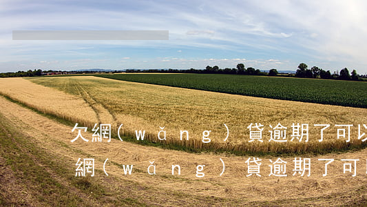 欠網(wǎng)貸逾期了可以慢慢還嗎(欠網(wǎng)貸逾期了可以慢慢還嗎)