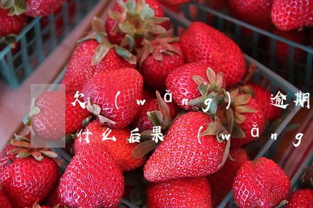 欠網(wǎng)貸逾期了會(huì)有什么后果(網(wǎng)貸欠款逾期犯法嗎)