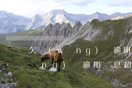 欠網(wǎng)貸逾期了罰息太多(網(wǎng)貸逾期罰息超過本金)