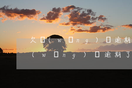 欠網(wǎng)貸逾期了該怎么辦(欠了網(wǎng)貸逾期了怎么辦)