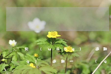 欠網(wǎng)貸逾期二月了(網(wǎng)貸逾期一兩個(gè)月)