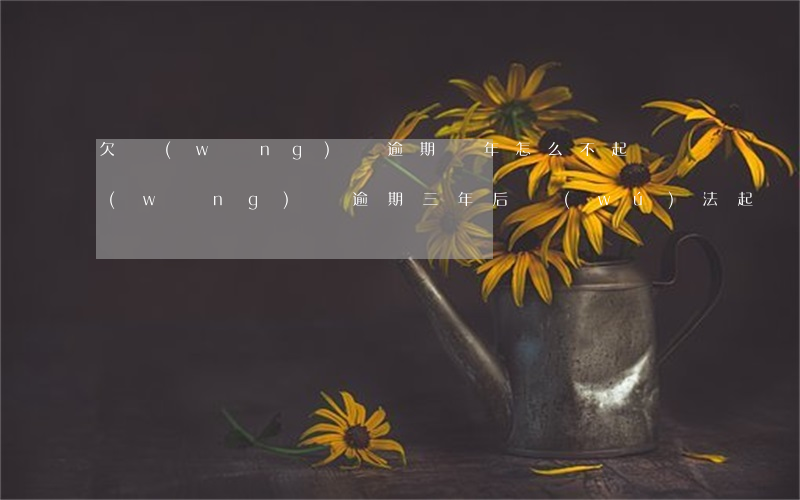 欠網(wǎng)貸逾期兩年怎么不起訴(網(wǎng)貸逾期三年后無(wú)法起訴怎么辦)