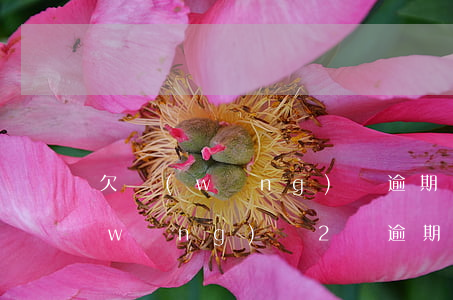 欠網(wǎng)貸逾期兩年沒還了(欠網(wǎng)貸2萬逾期一年了)