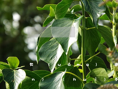 欠網(wǎng)貸逾期兩年資產(chǎn)會(huì)不會(huì)被凍結(jié)-欠網(wǎng)貸逾期兩年資產(chǎn)會(huì)不會(huì)被凍結(jié)了