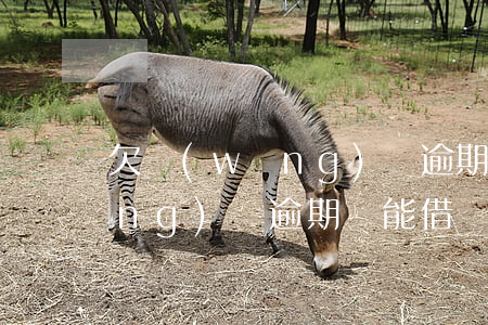 欠網(wǎng)貸逾期可以借嘛(網(wǎng)貸逾期還能借嗎)