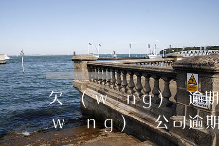 欠網(wǎng)貸逾期可以做法人嗎(網(wǎng)貸公司逾期多久會起訴借款人?)