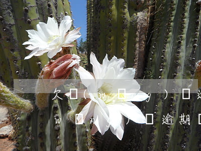 欠網(wǎng)貸逾期可以慢慢還嗎(網(wǎng)貸逾期還能不能貸)
