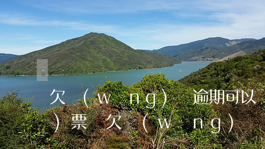 欠網(wǎng)貸逾期可以買飛機(jī)票嗎(欠網(wǎng)貸會不會影響買飛機(jī)票)