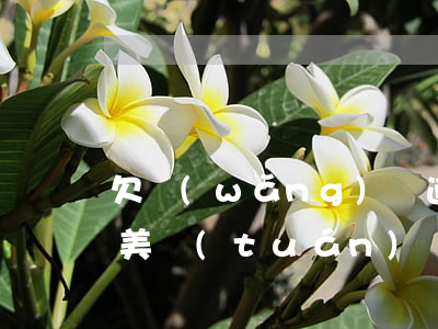 欠網(wǎng)貸逾期可以進(jìn)美團(tuán)嗎(網(wǎng)貸美團(tuán)網(wǎng)貸逾期了暫時還不上會爆通訊錄嗎)