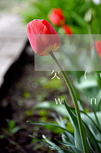 欠網(wǎng)貸逾期名下有摩托車(網(wǎng)貸逾期屬于老賴嗎?)